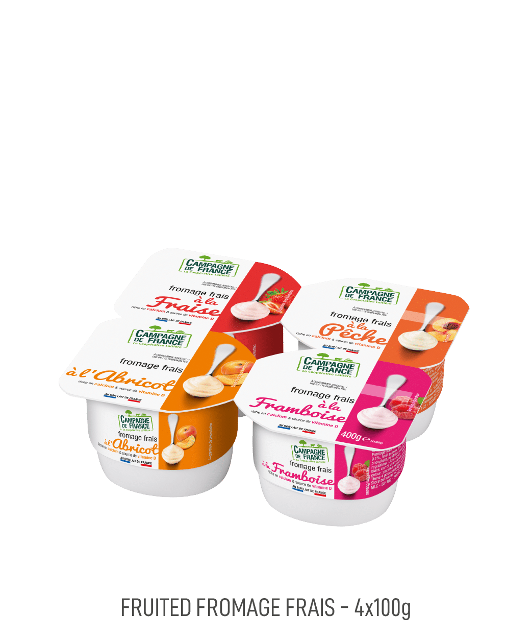 Fromage frais Campagne de France pot 100G aux fruits