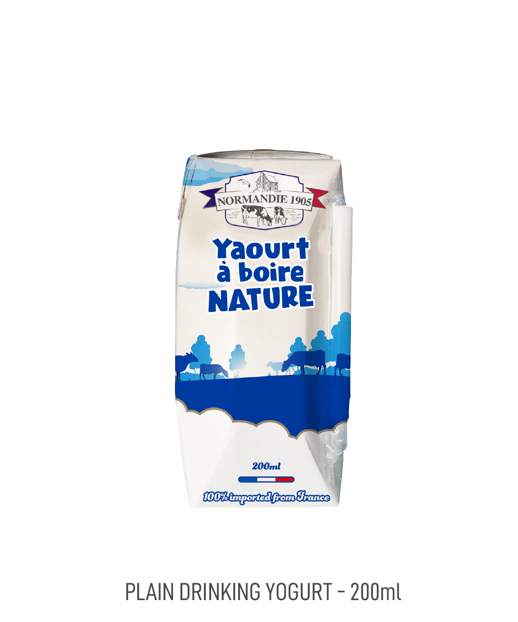 Yaourt à boire Normandie 1905 nature 200ml